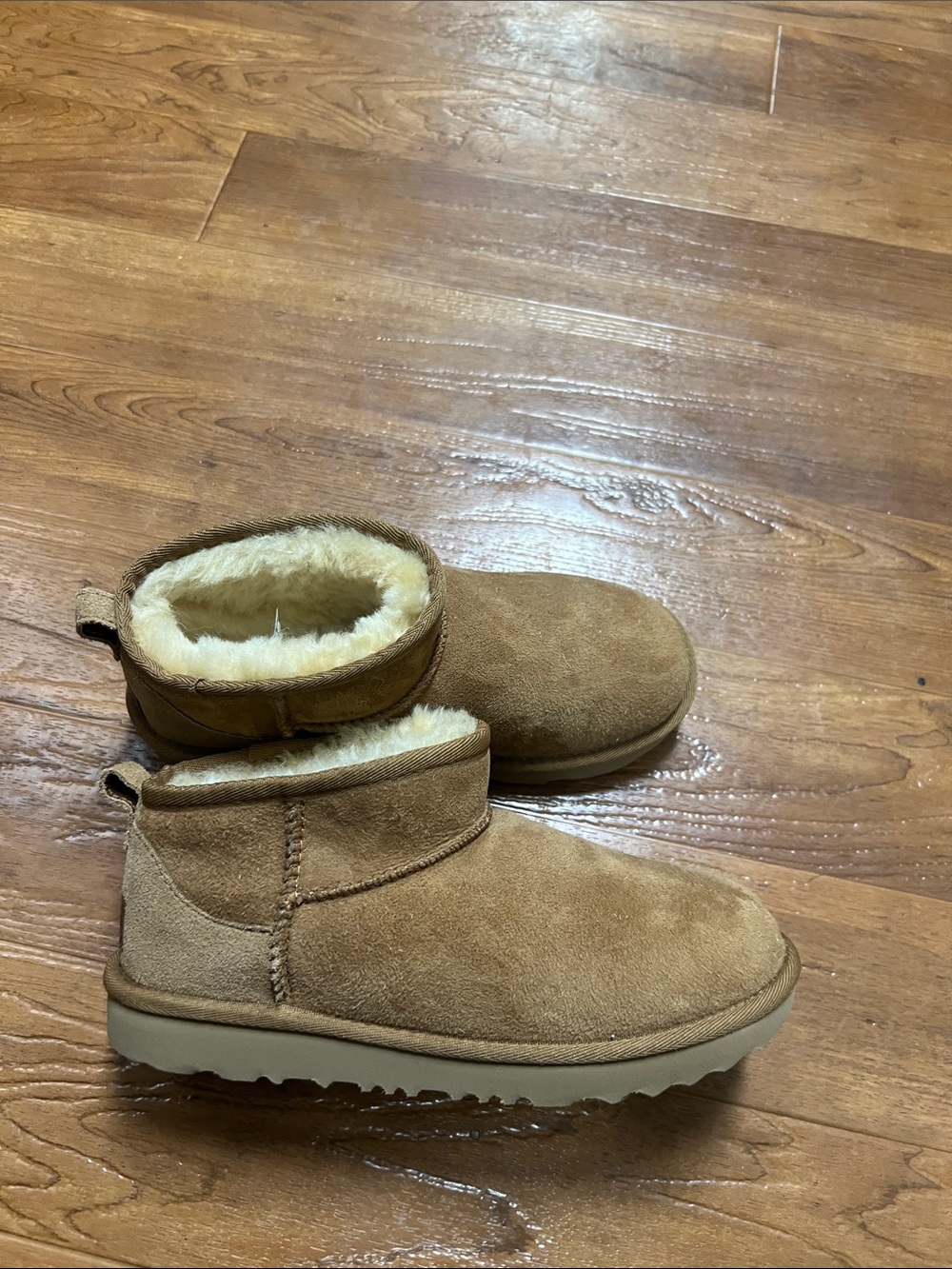 New Ugg